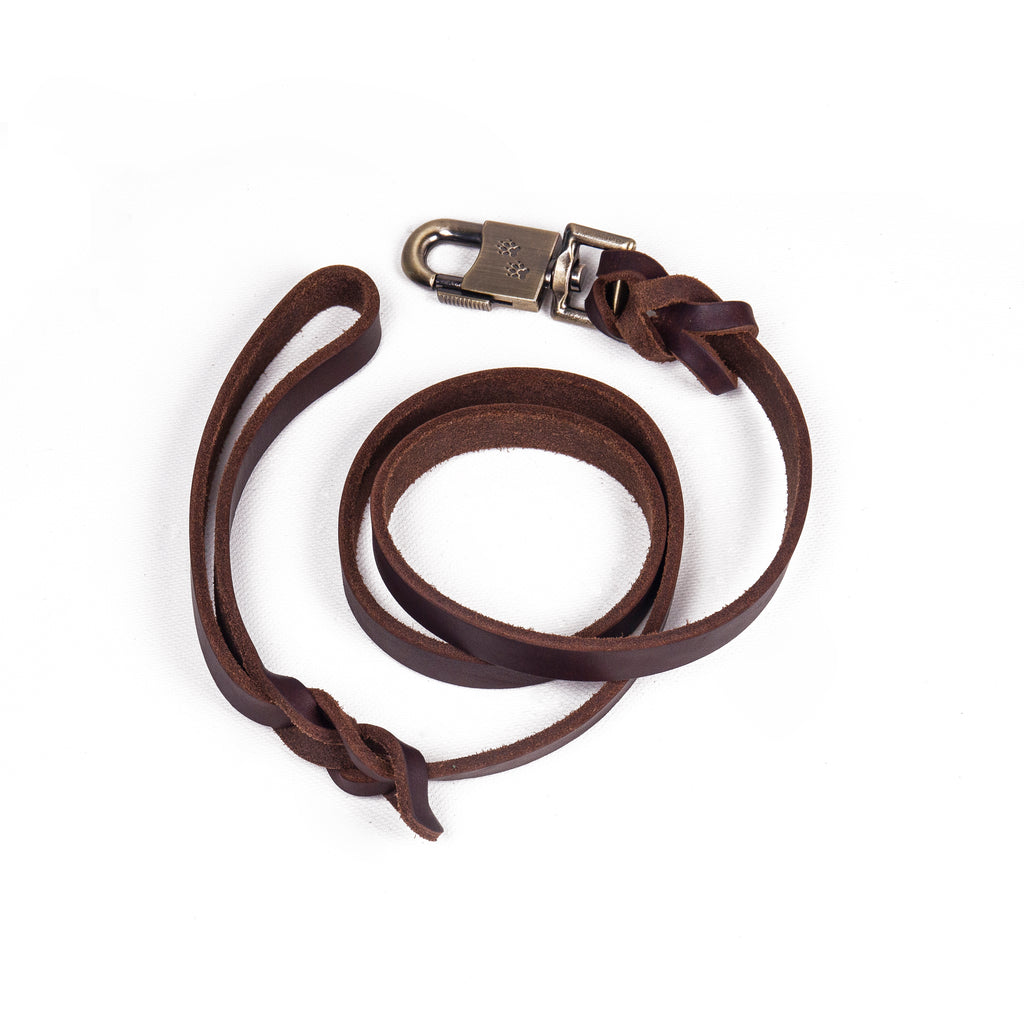 Handcrafted Genuine Leather Dog Leash, Heavy-Duty Hardware, Wear-Resistant Walking Lead for Small & Medium Dogs, Dog Accessories, Matches Dog Collar
